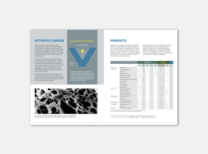 Calgon Carbon Respirator Brochure