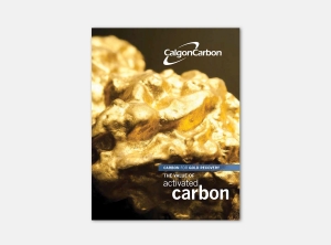 Calgon Gold Brochure 1