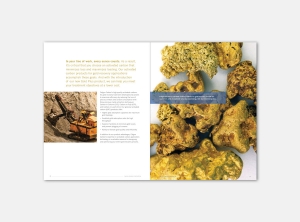 Calgon Gold Brochure 2